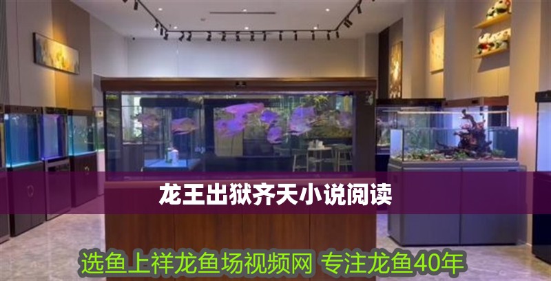 龍王出獄齊天小說閱讀