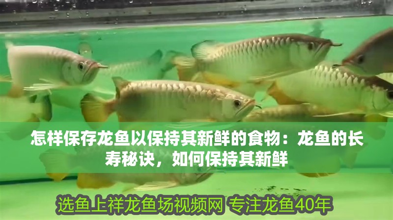 怎樣保存龍魚以保持其新鮮的食物：龍魚的長壽秘訣，如何保持其新鮮