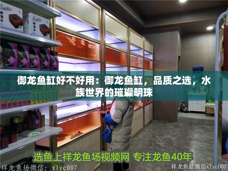御龍魚(yú)缸好不好用：御龍魚(yú)缸，品質(zhì)之選，水族世界的璀璨明珠