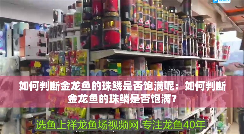 如何判斷金龍魚的珠鱗是否飽滿呢：如何判斷金龍魚的珠鱗是否飽滿？