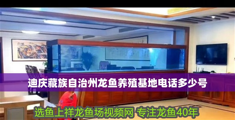 迪慶藏族自治州龍魚養殖基地電話多少號