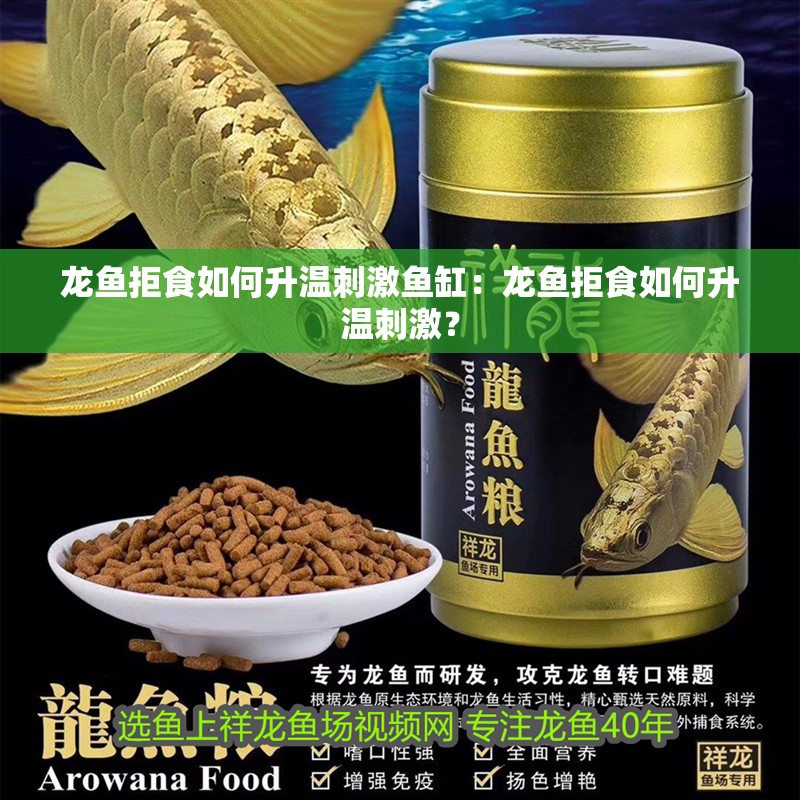 龍魚(yú)拒食如何升溫刺激魚(yú)缸：龍魚(yú)拒食如何升溫刺激？