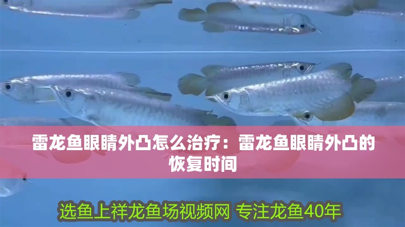 雷龍魚眼睛外凸怎么治療：雷龍魚眼睛外凸的恢復時間