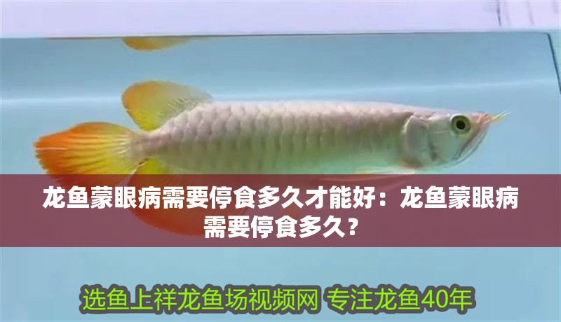 龍魚蒙眼病需要停食多久才能好：龍魚蒙眼病需要停食多久？