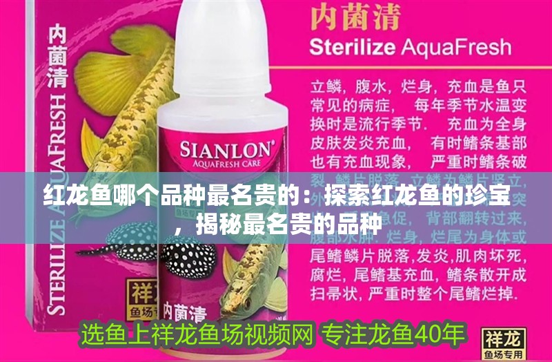 紅龍魚哪個品種最名貴的：探索紅龍魚的珍寶，揭秘最名貴的品種