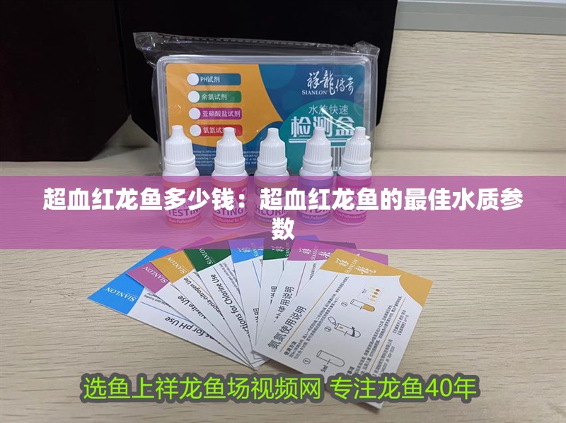 超血紅龍魚多少錢：超血紅龍魚的最佳水質參數