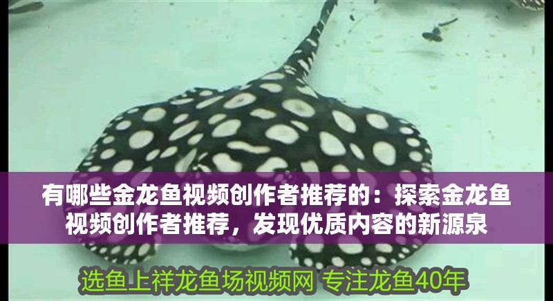 有哪些金龍魚視頻創(chuàng)作者推薦的：探索金龍魚視頻創(chuàng)作者推薦，發(fā)現(xiàn)優(yōu)質(zhì)內(nèi)容的<strong><mark>新源</mark></strong>泉