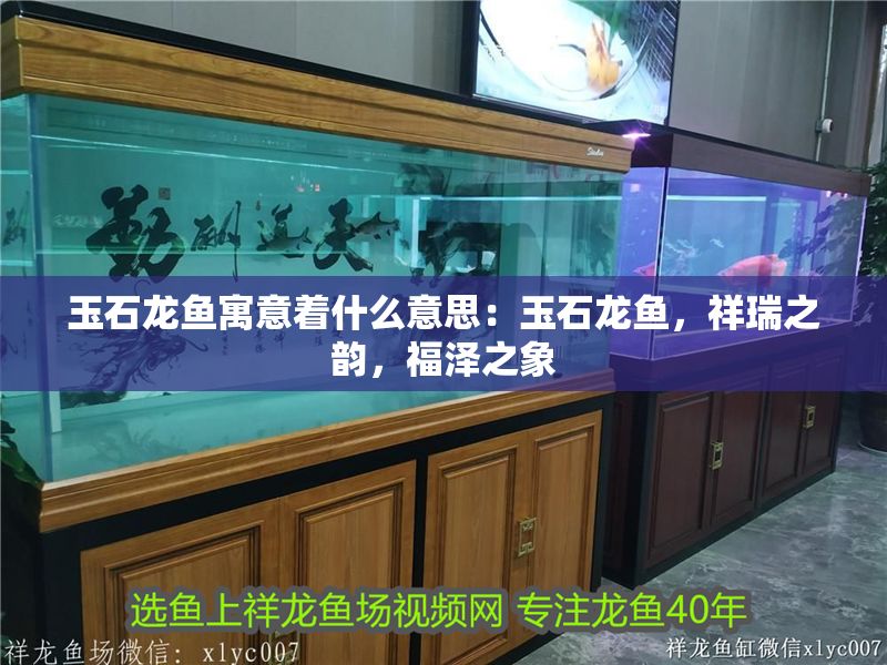 玉石龍魚寓意著什么意思：玉石龍魚，祥瑞之韻，福澤之象