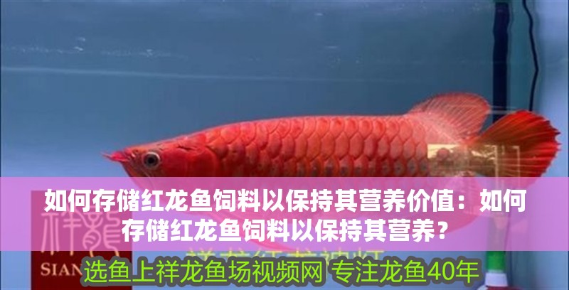 如何存儲(chǔ)紅龍魚飼料以保持其營(yíng)養(yǎng)價(jià)值：如何存儲(chǔ)紅龍魚飼料以保持其營(yíng)養(yǎng)？