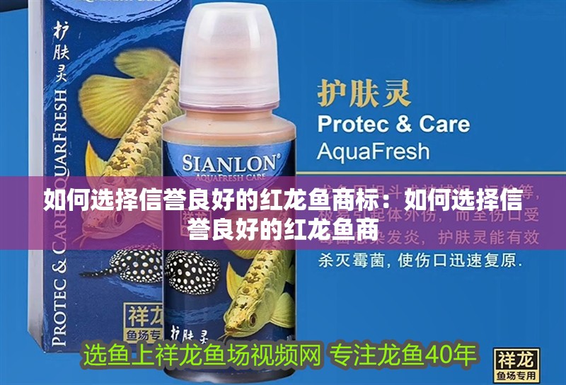 如何選擇信譽良好的紅龍魚商標：如何選擇信譽良好的紅龍魚商