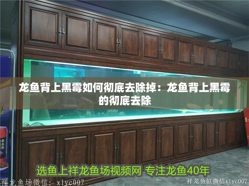 龍魚背上黑霉如何徹底去除掉：龍魚背上黑霉的徹底去除