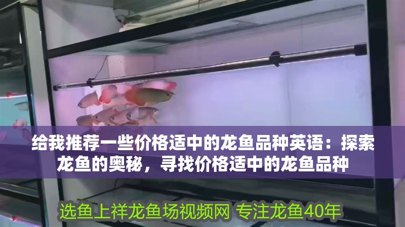 給我推薦一些價格適中的龍魚品種英語：探索龍魚的奧秘，尋找價格適中的龍魚品種