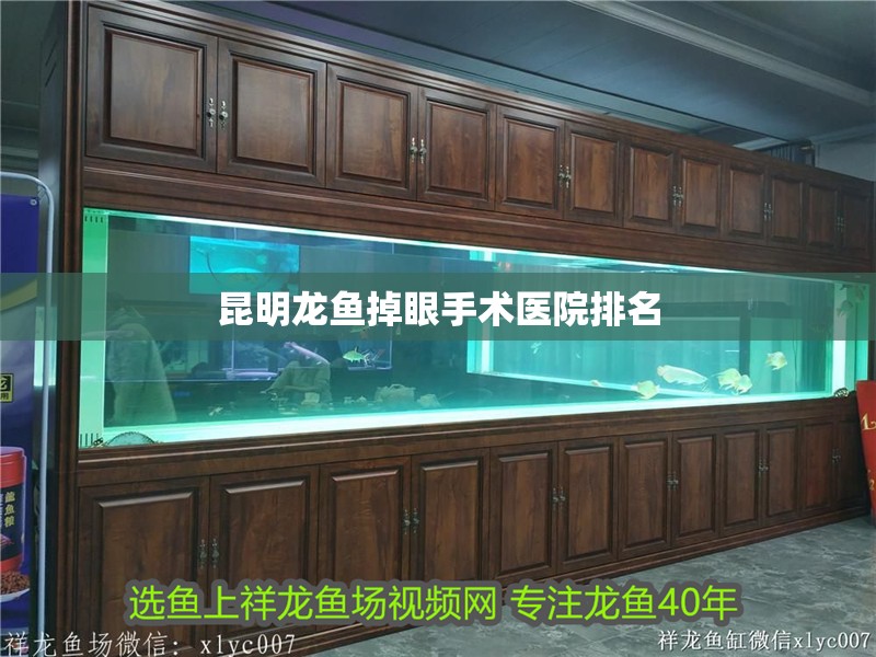昆明龍魚掉眼手術醫院排名