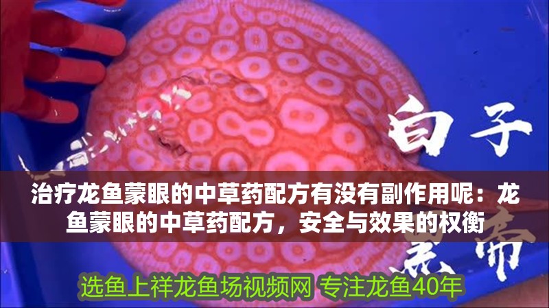 治療龍魚蒙眼的中草藥配方有沒有副作用呢：龍魚蒙眼的中草藥配方，安全與效果的權衡