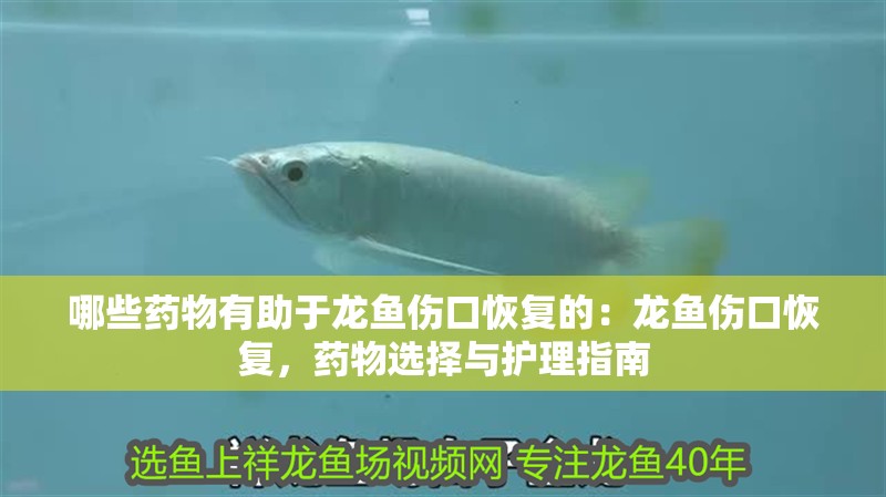 哪些藥物有助于龍魚傷口恢復的：龍魚傷口恢復，藥物選擇與護理指南