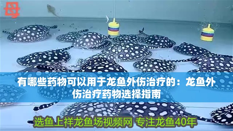 有哪些藥物可以用于龍魚外傷治療的：龍魚外傷治療藥物選擇指南