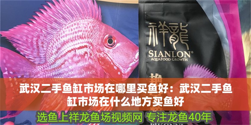 武漢二手魚(yú)缸市場(chǎng)在哪里買(mǎi)魚(yú)好：武漢二手魚(yú)缸市場(chǎng)在什么地方買(mǎi)魚(yú)好 武漢二手魚(yú)缸市場(chǎng)在哪里買(mǎi)魚(yú)好：武漢二手魚(yú)缸市場(chǎng)在什么地方買(mǎi)魚(yú)好 魚(yú)缸百科