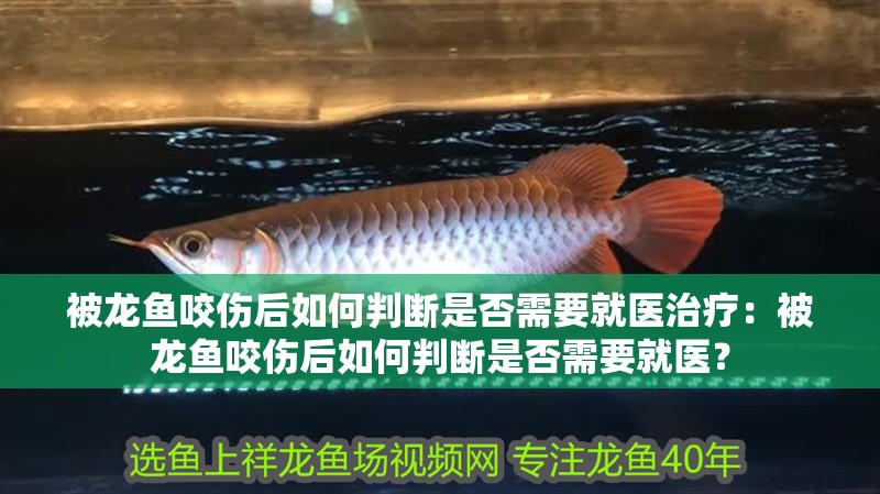 被龍魚咬傷后如何判斷是否需要就醫治療：被龍魚咬傷后如何判斷是否需要就醫？
