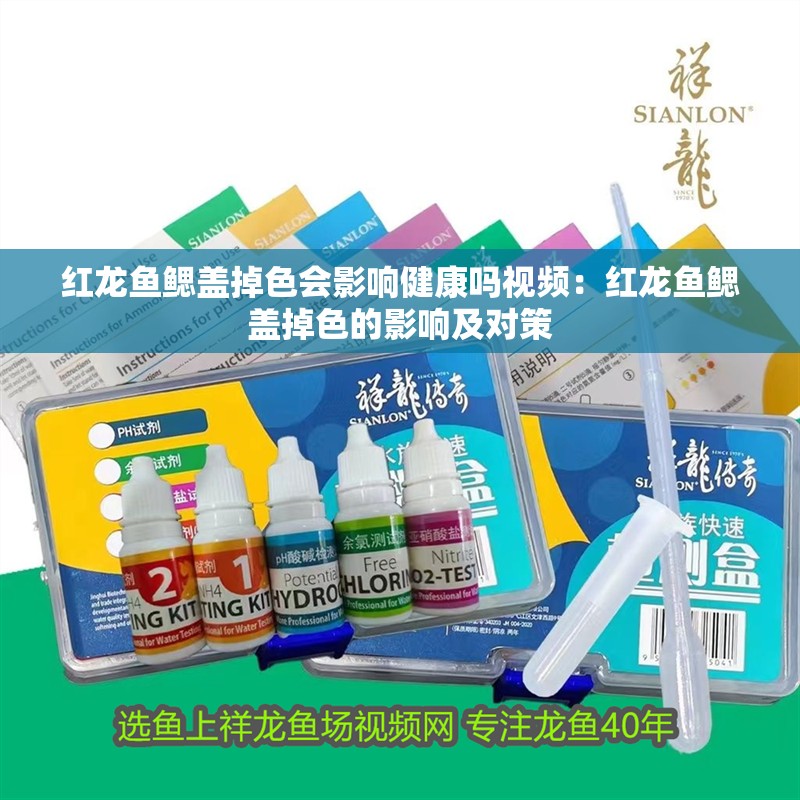 紅龍魚鰓蓋掉色會影響健康嗎視頻：紅龍魚鰓蓋掉色的影響及對策