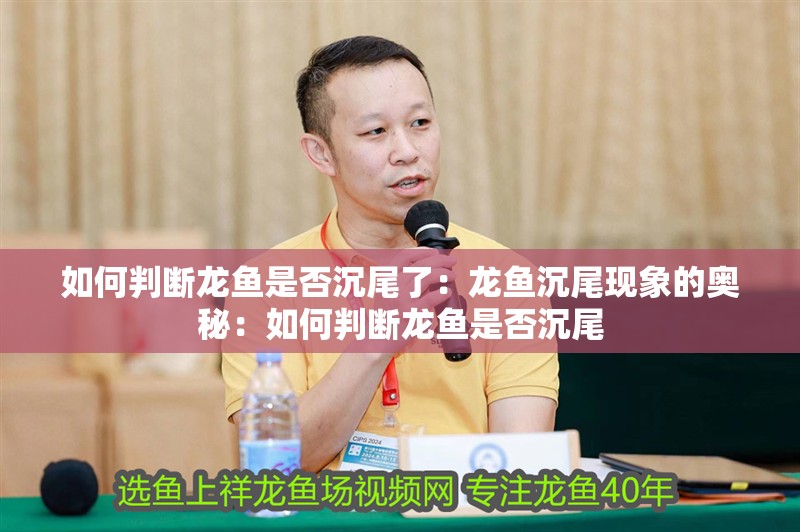 如何判斷龍魚是否沉尾了：龍魚沉尾現象的奧秘：如何判斷龍魚是否沉尾