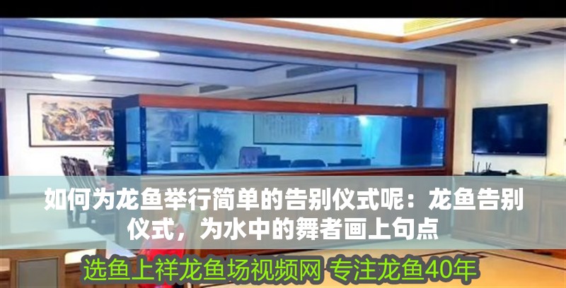 如何為龍魚舉行簡單的告別儀式呢：龍魚告別儀式，為水中的舞者畫上句點