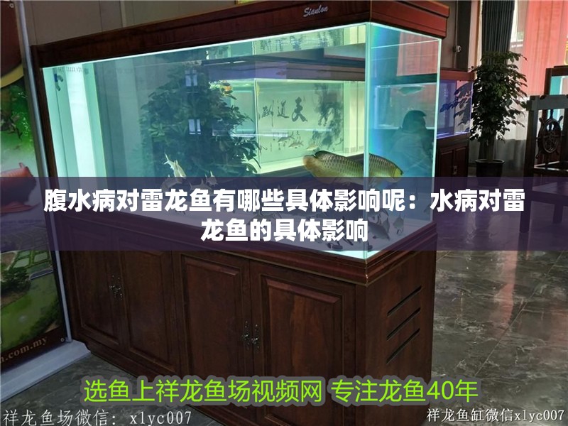 腹水病對雷龍魚有哪些具體影響呢：水病對雷龍魚的具體影響
