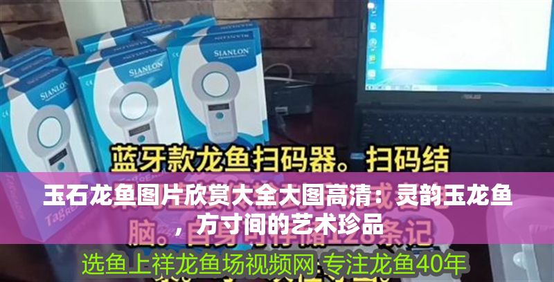 玉石龍魚(yú)圖片欣賞大全大圖高清：靈韻玉龍魚(yú)，方寸間的藝術(shù)珍品