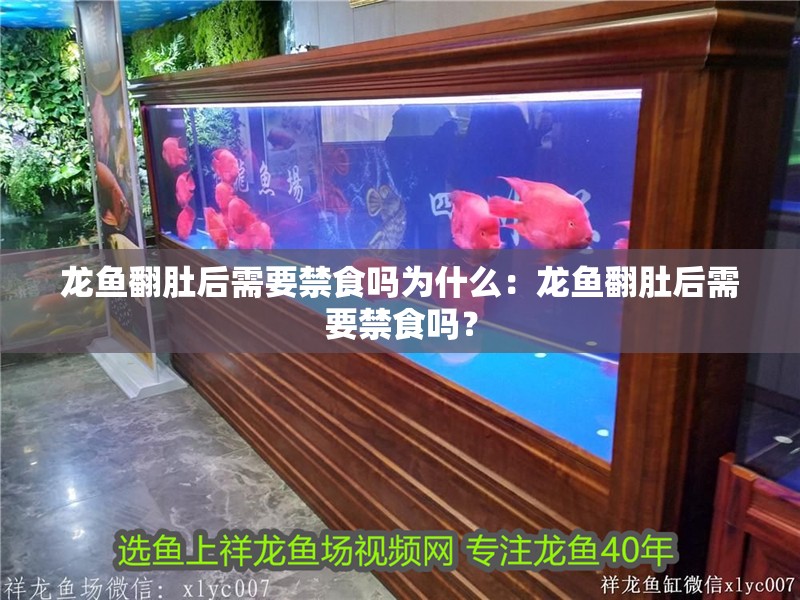 龍魚翻肚后需要禁食嗎為什么：龍魚翻肚后需要禁食嗎？
