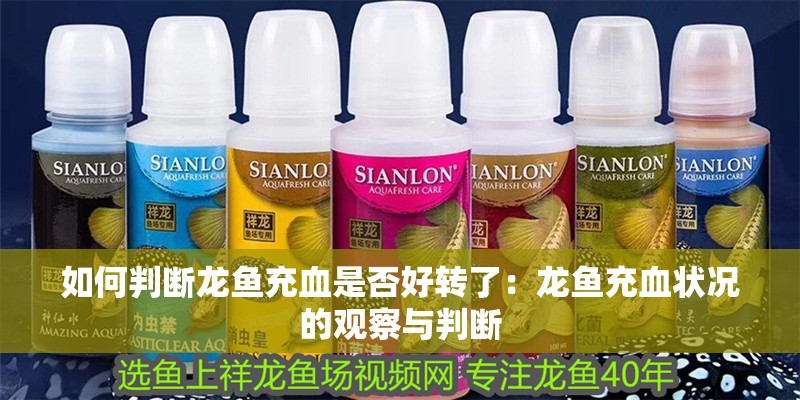 如何判斷龍魚充血是否好轉(zhuǎn)了：龍魚充血狀況的觀察與判斷