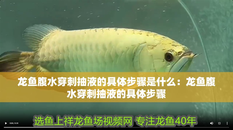 龍魚(yú)腹水穿刺抽液的具體步驟是什么：龍魚(yú)腹水穿刺抽液的具體步驟