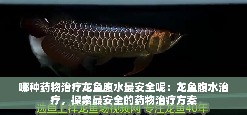 哪種藥物治療龍魚腹水最安全呢：龍魚腹水治療，探索最安全的藥物治療方案