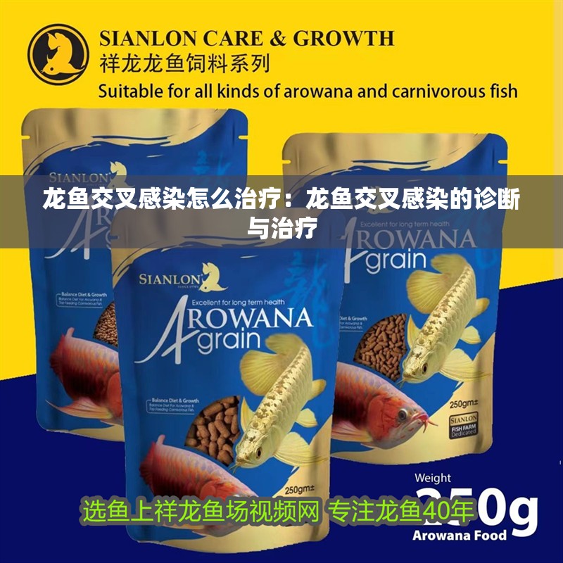 龍魚交叉感染怎么治療：龍魚交叉感染的診斷與治療