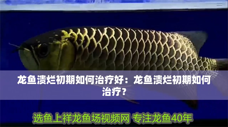 龍魚潰爛初期如何治療好：龍魚潰爛初期如何治療？
