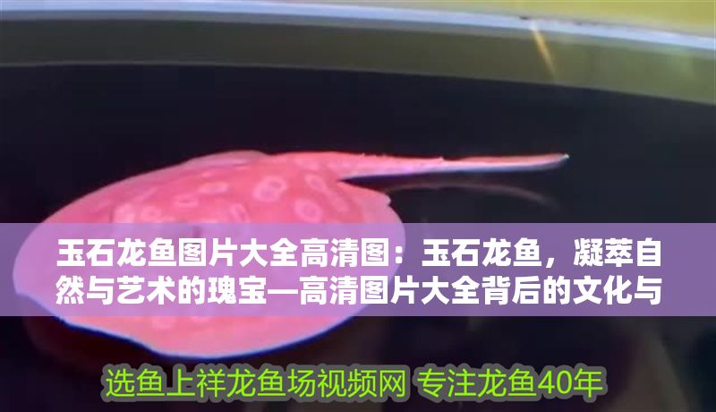 玉石龍魚圖片大全高清圖：玉石龍魚，凝萃自然與藝術的瑰寶—高清圖片大全背后的文化與魅力