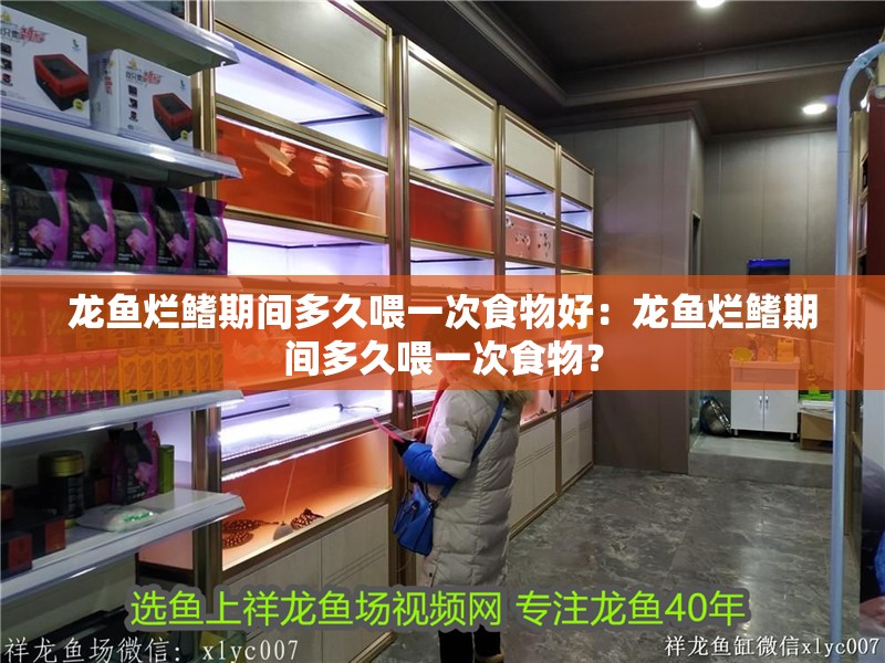 龍魚爛鰭期間多久喂一次食物好：龍魚爛鰭期間多久喂一次食物？