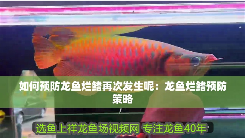 如何預防龍魚爛鰭再次發生呢：龍魚爛鰭預防策略