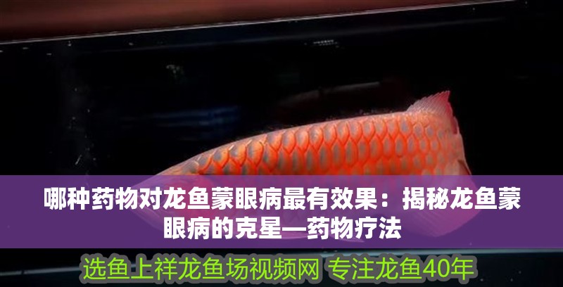 哪種藥物對龍魚蒙眼病最有效果：揭秘龍魚蒙眼病的克星—藥物療法