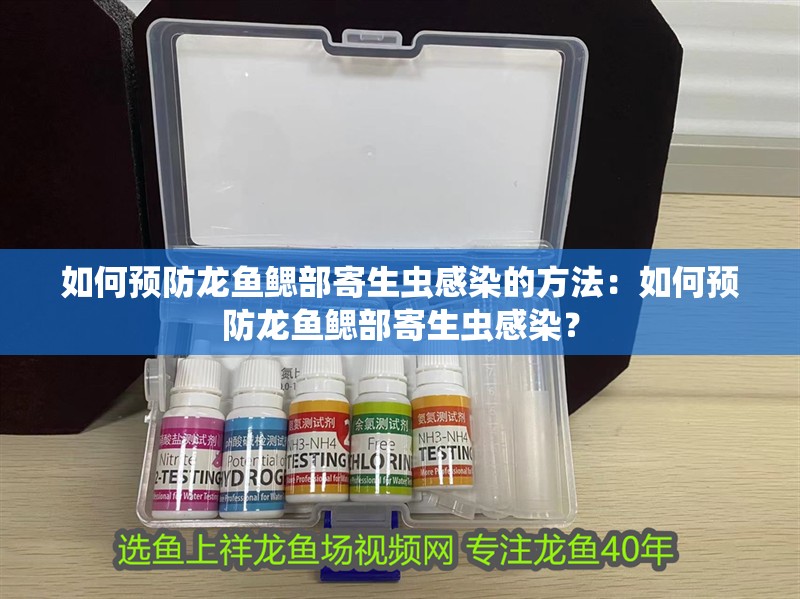 如何預(yù)防龍魚鰓部寄生蟲感染的方法：如何預(yù)防龍魚鰓部寄生蟲感染？