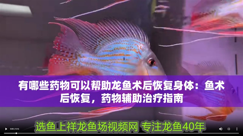 有哪些藥物可以幫助龍魚術后恢復身體：魚術后恢復，藥物輔助治療指南