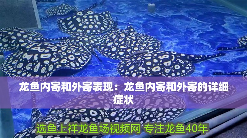 龍魚內寄和外寄表現：龍魚內寄和外寄的詳細癥狀