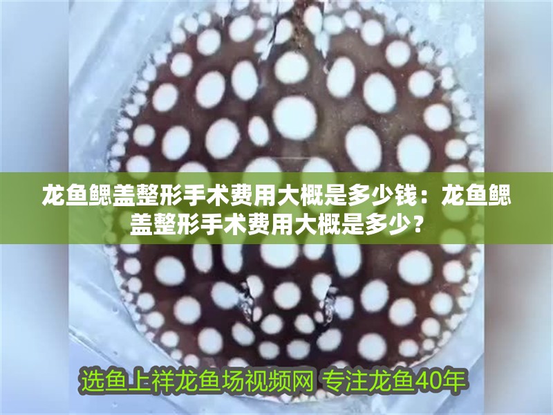 龍魚鰓蓋整形手術(shù)費(fèi)用大概是多少錢：龍魚鰓蓋整形手術(shù)費(fèi)用大概是多少？