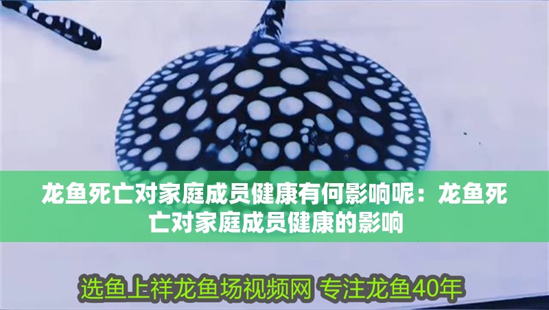 龍魚死亡對(duì)家庭成員健康有何影響呢：龍魚死亡對(duì)家庭成員健康的影響