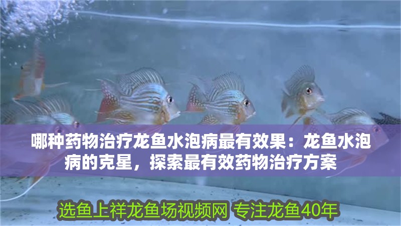 哪種藥物治療龍魚水泡病最有效果：龍魚水泡病的克星，探索最有效藥物治療方案