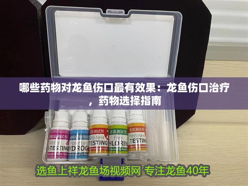 哪些藥物對(duì)龍魚(yú)傷口最有效果：龍魚(yú)傷口治療，藥物選擇指南