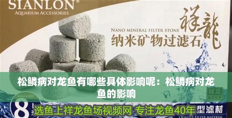 松鱗病對龍魚有哪些具體影響呢：松鱗病對龍魚的影響
