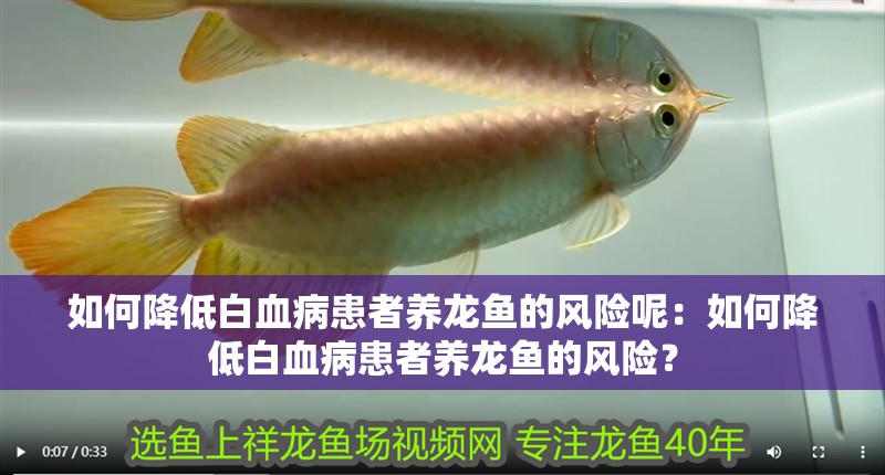 如何降低白血病患者養龍魚的風險呢：如何降低白血病患者養龍魚的風險？