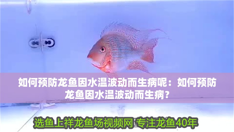 如何預(yù)防龍魚因水溫波動(dòng)而生病呢：如何預(yù)防龍魚因水溫波動(dòng)而生??？
