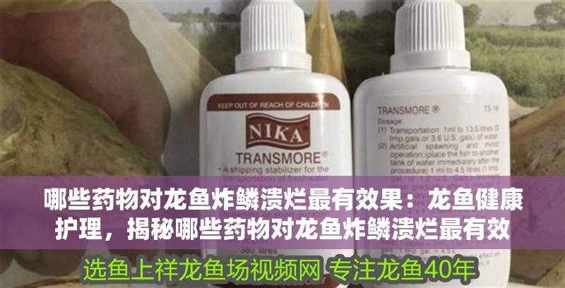 哪些藥物對龍魚炸鱗潰爛最有效果：龍魚健康護理，揭秘哪些藥物對龍魚炸鱗潰爛最有效