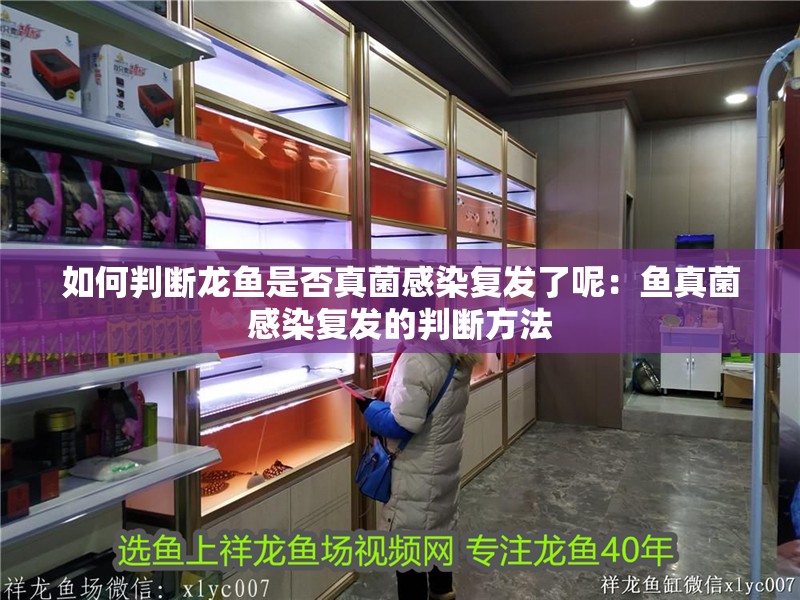 如何判斷龍魚是否真菌感染復發(fā)了呢：魚真菌感染復發(fā)的判斷方法