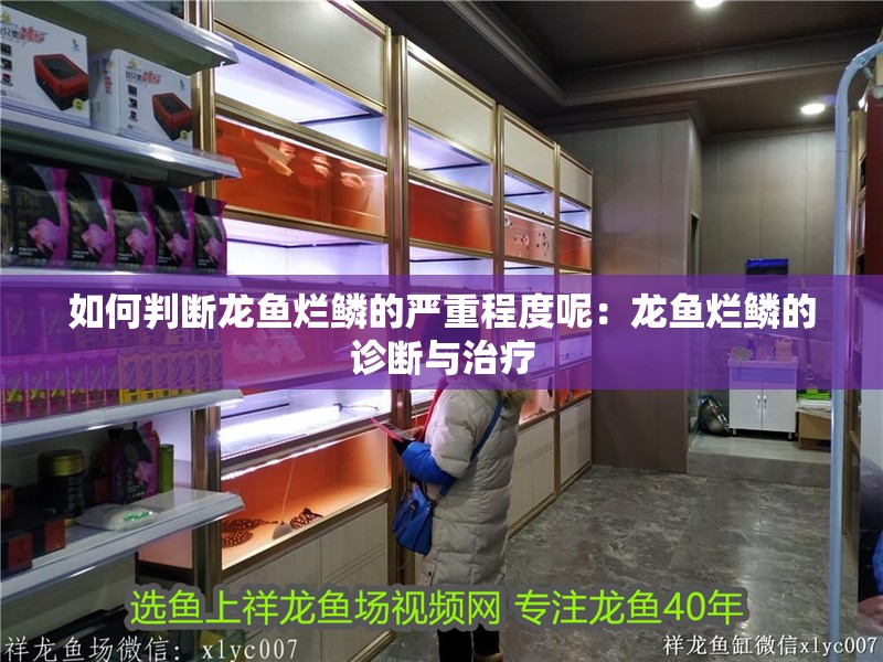 如何判斷龍魚爛鱗的嚴重程度呢：龍魚爛鱗的診斷與治療